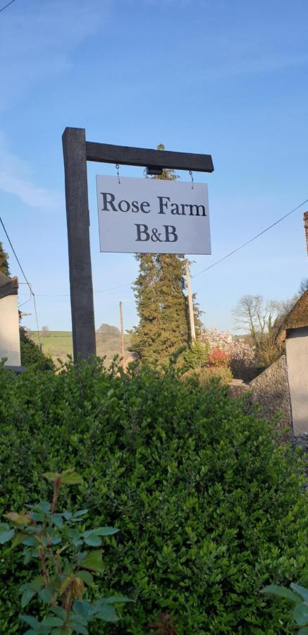 Rose Farm Bed & Breakfast Хонитън Екстериор снимка