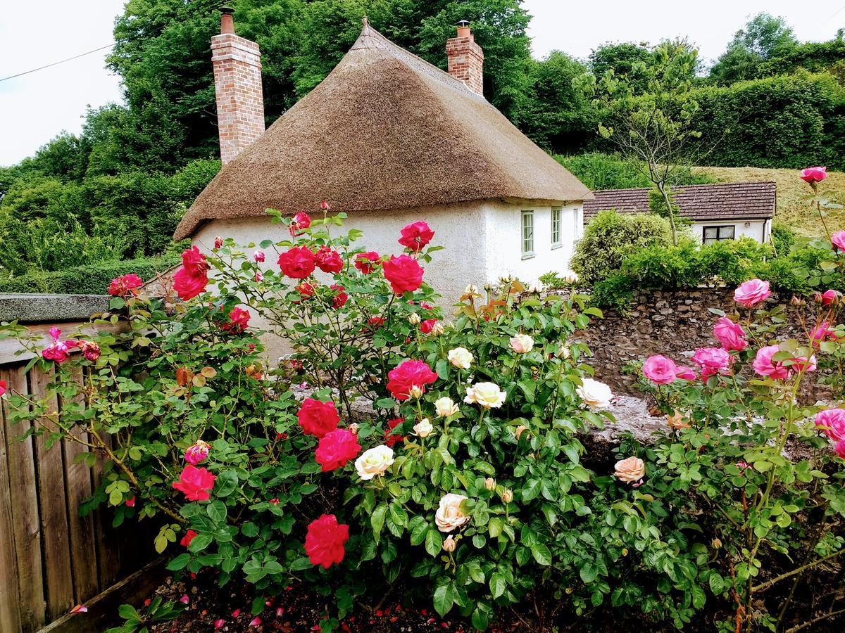 Rose Farm Bed & Breakfast Хонитън Екстериор снимка